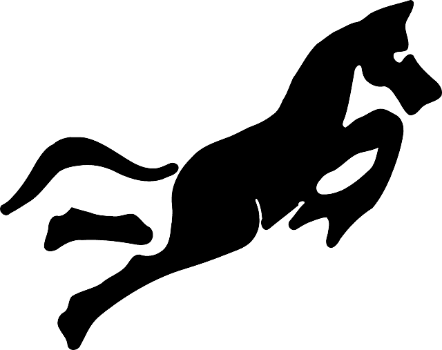 Chinese, Horse, Shape, Art, Year, Zodiac, Fortune - Chinese Zodiac Png Horse - Transparent PNG Free Download | PNGio