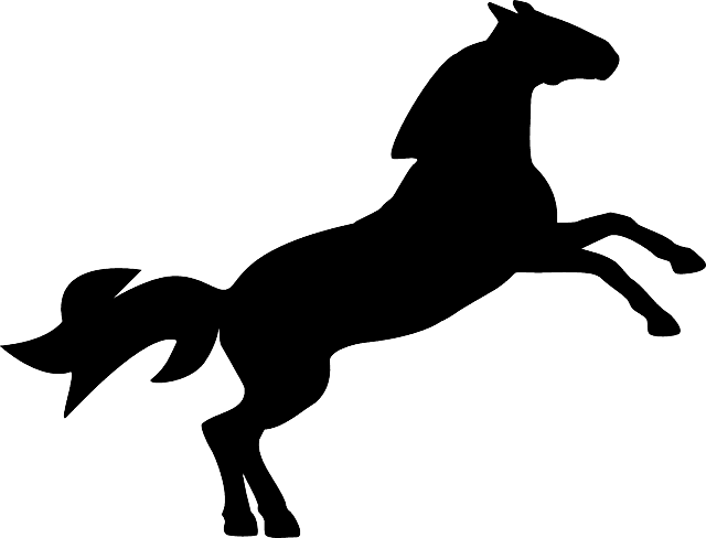 Jumping Horse, Animal, Countryside, Jumping - Horse Jumping Silhouette Png - Transparent PNG Free Download | PNGio