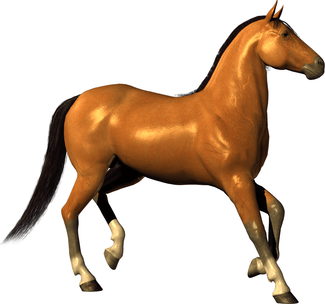 Transparent Horse Clipart - Transparent Horse Clipart - Transparent PNG Free Download | PNGio