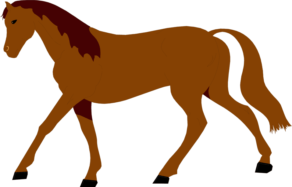 Free Stock Photos - Horse Illustration Free - Transparent PNG Free Download | PNGio