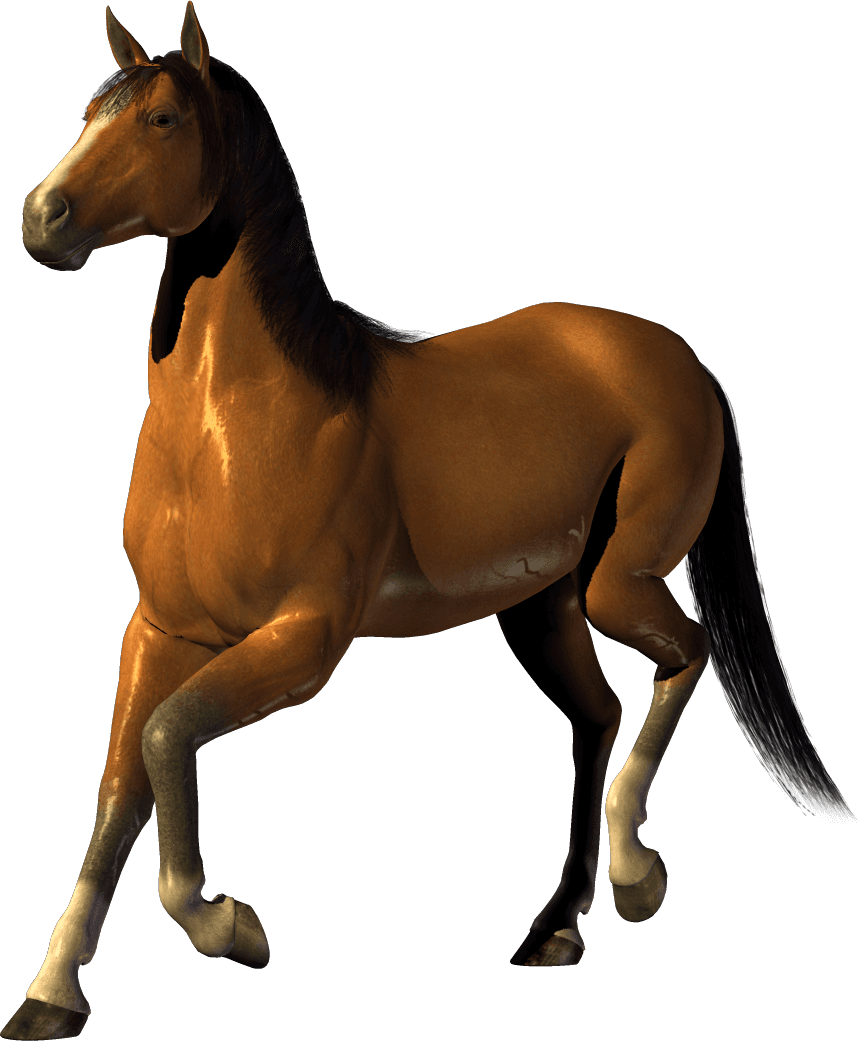Horse Clipart Transparent - Transparent Background Clipart Horse - Transparent PNG Free Download | PNGio