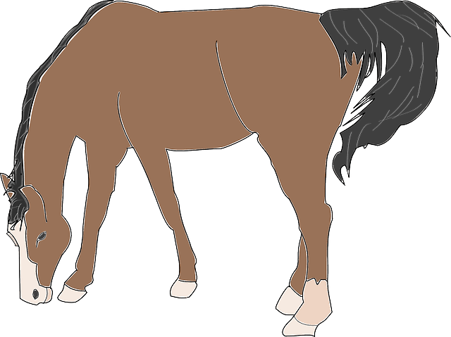 Granja, Caballo, De Tierra, Comer, Animales, Mamíferos - Horse Eating Clip Art - Transparent PNG Free Download | PNGio