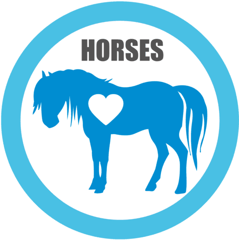 Horses For Adoption - Small Horse Silhouette - Transparent PNG Free Download | PNGio