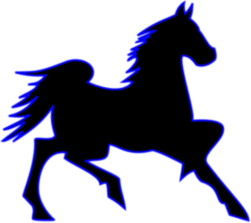 Horse Clip Art - Transparent PNG Free Download | PNGio