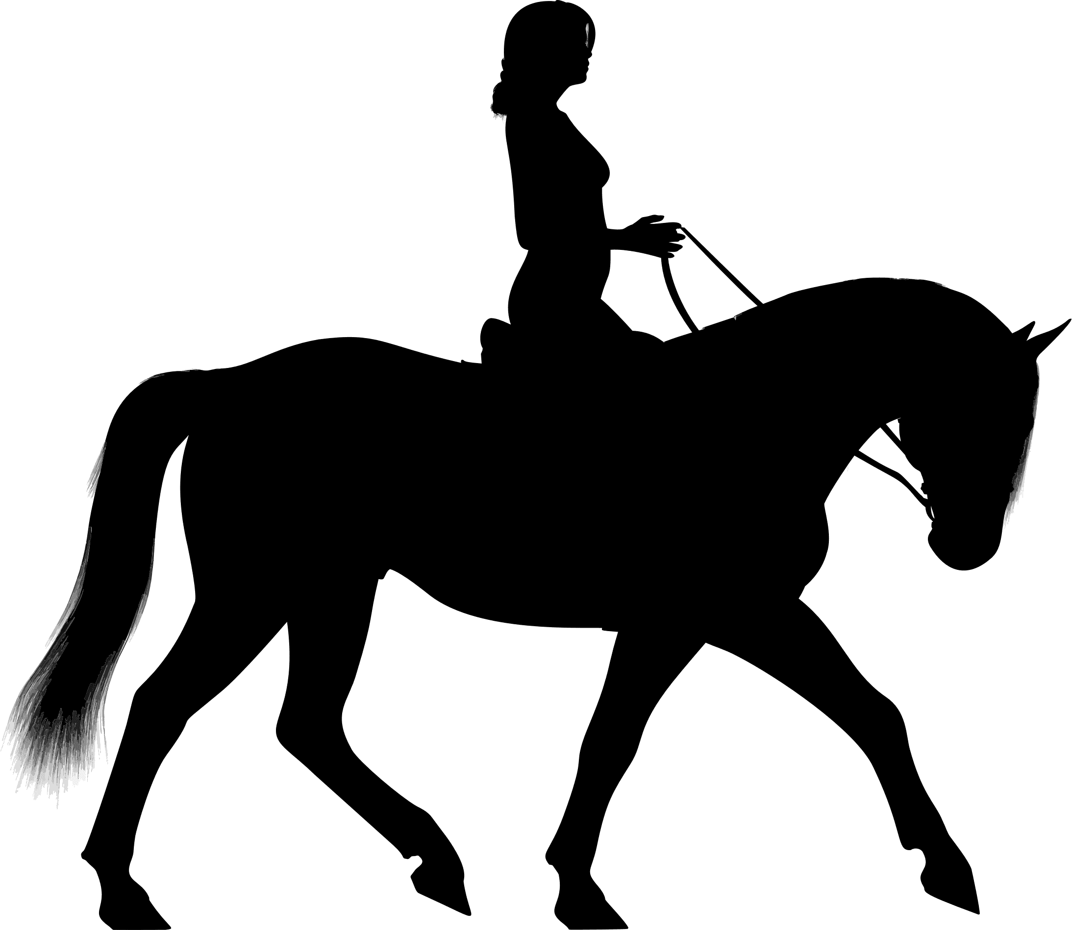 Big Image - Cowboy On A Horse Silhouette - Transparent PNG Free Download | PNGio