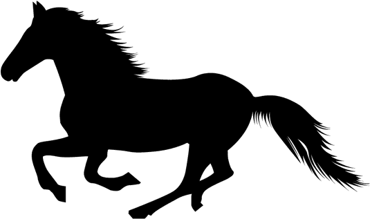 Horse-3 - Black Horse Transparent Background - Transparent PNG Free Download | PNGio