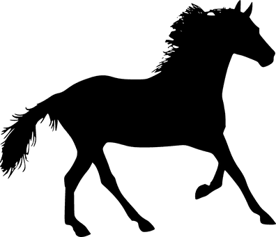 Silhouette Horse - Horse Silhouette - Transparent PNG Free Download | PNGio