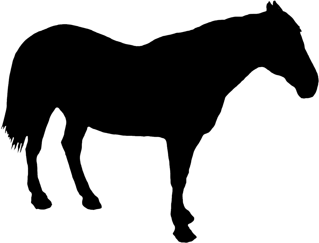 Horse Standing Silhouette, Horse Rider Silhouette Clipart - Horse Silhouette Standing - Transparent PNG Free Download | PNGio