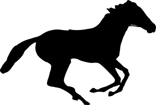 Animal Equine Horse Ride Silhouette Horse - Kentucky Derby 2018 Horses - Transparent PNG Free Download | PNGio