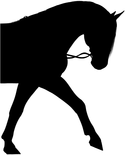 Horse Silhoutte - Horse Silhouette Png - Transparent PNG Free Download | PNGio