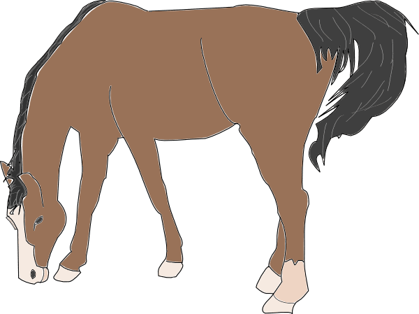 Horse Eating Clip Art - Transparent PNG Free Download | PNGio