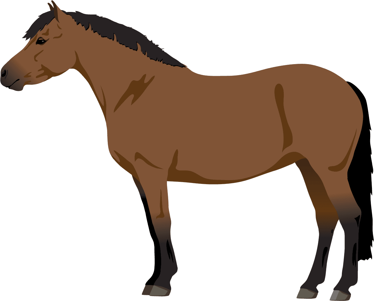 More Like 5 Point Horse Adopt - Horse - Transparent PNG Free Download | PNGio