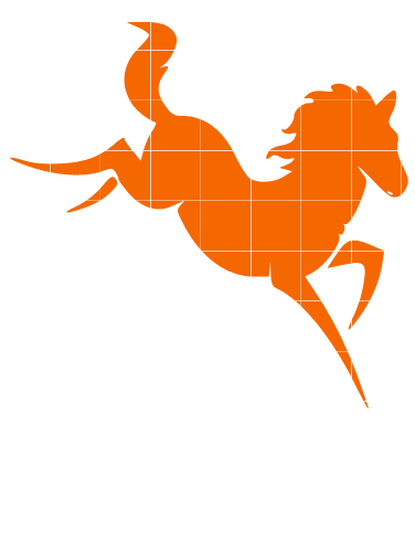 Horse Bucking-bb21 - Horse - Transparent PNG Free Download | PNGio