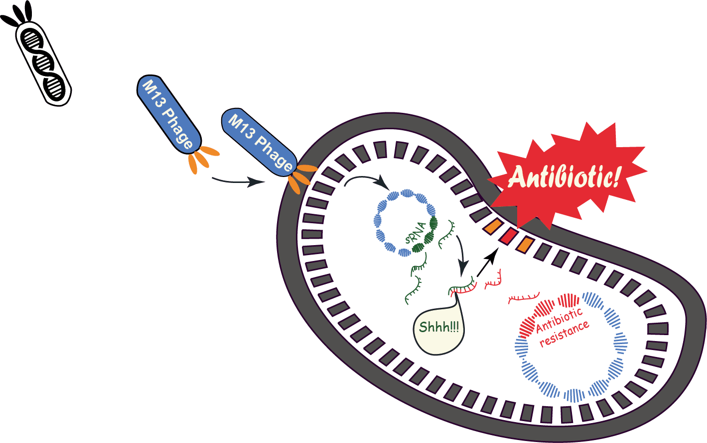 The Trojan Horse Strategy - Trojan Horse Antibiotics - Transparent PNG Free Download | PNGio