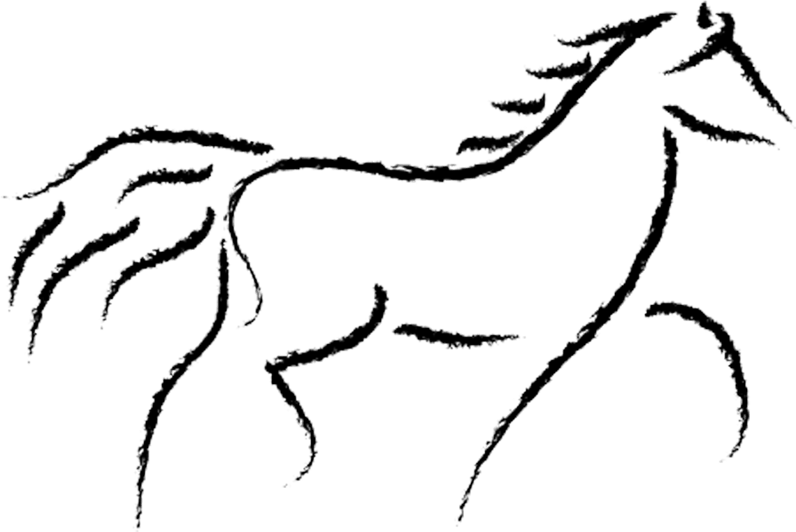 Equine Anatomy And Biomechanics - Running Horse Sketch - Transparent PNG Free Download | PNGio