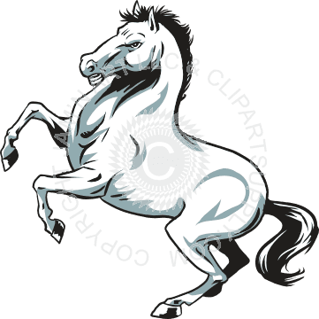 Rearing Stallion Horse - Rearing Horse Shower Curtain - Transparent PNG Free Download | PNGio