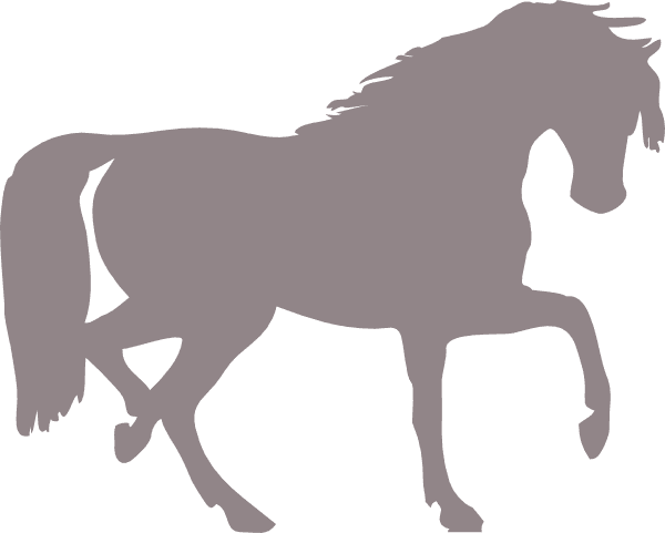 Horse Silhouette Clip Art - Transparent PNG Free Download | PNGio