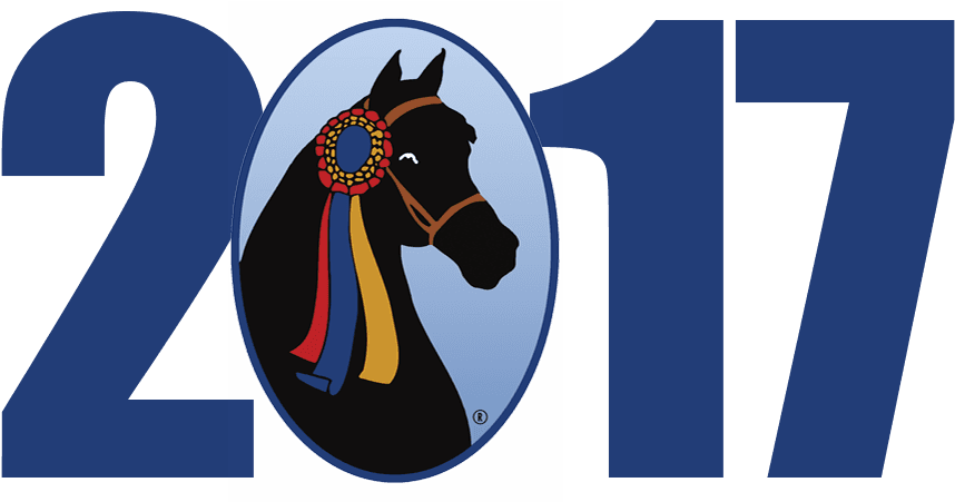 2017 Grand National & World Championship Morgan Horse - Horse - Transparent PNG Free Download | PNGio