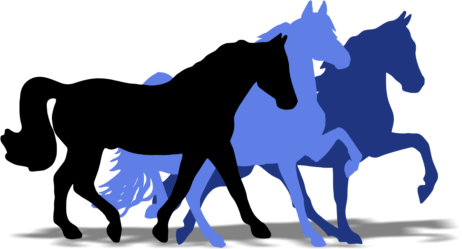 Super Horse Usa - Horse - Transparent PNG Free Download | PNGio
