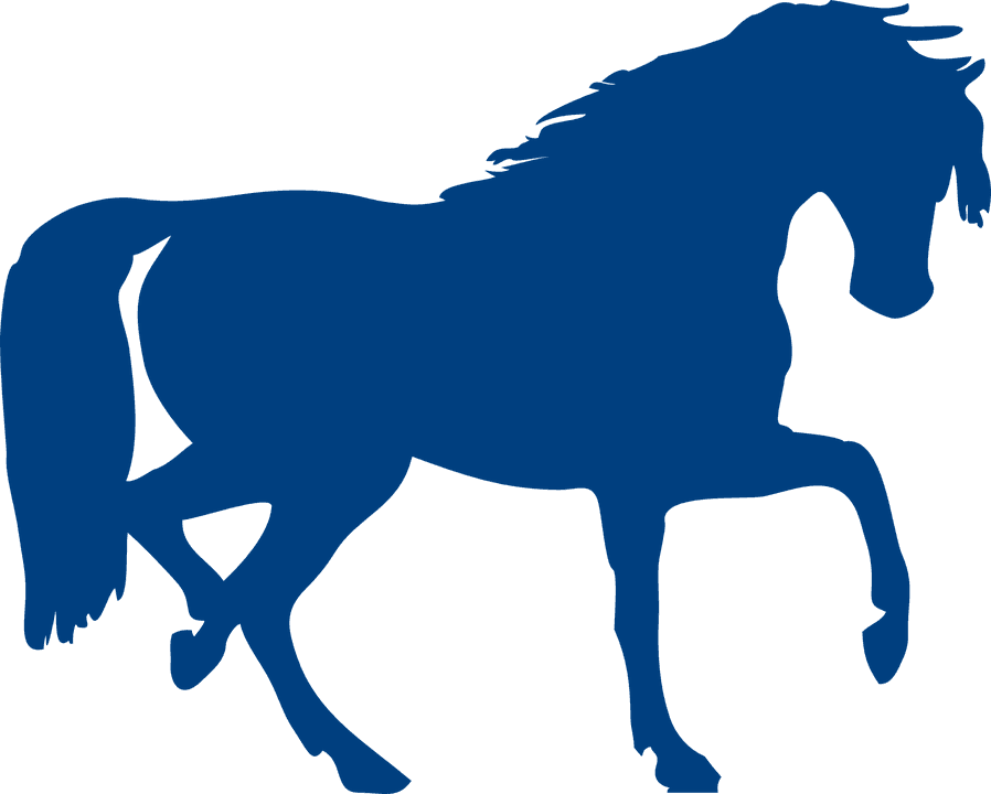 Free Image On Pixabay - Horse Silhouette Clip Art - Transparent PNG Free Download | PNGio