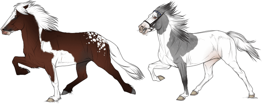 Icelandic Horse Clipart - Icelandic Horse Drawing - Transparent PNG Free Download | PNGio
