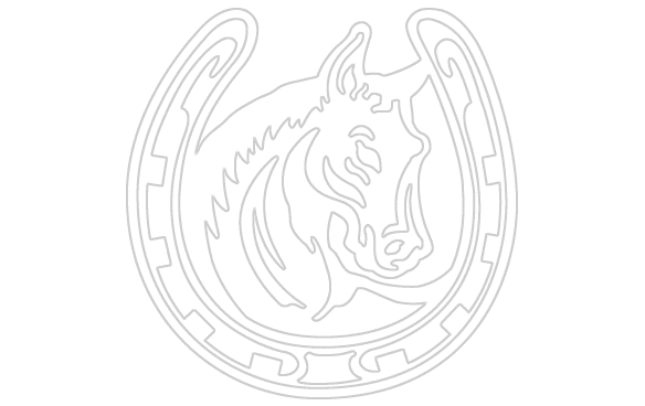 With Horseshoe Sticker - Horses With Horseshoes Drawing - Transparent PNG Free Download | PNGio