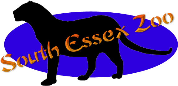 South Essex Zoo Is A Small, Recently Opened Zoo Owned - Horse - Transparent PNG Free Download | PNGio