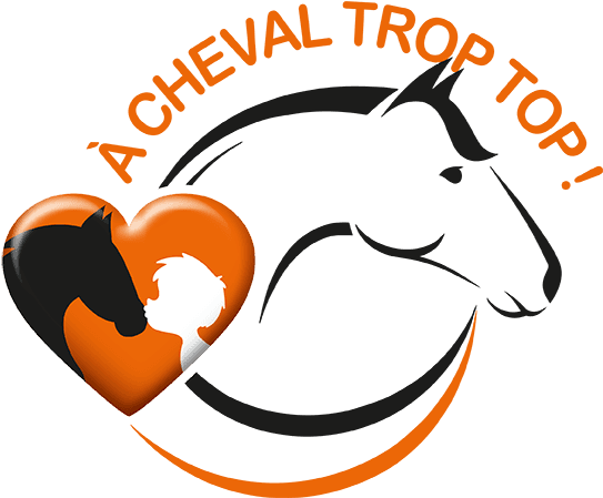 A Cheval Trop Top - Horse - Transparent PNG Free Download | PNGio