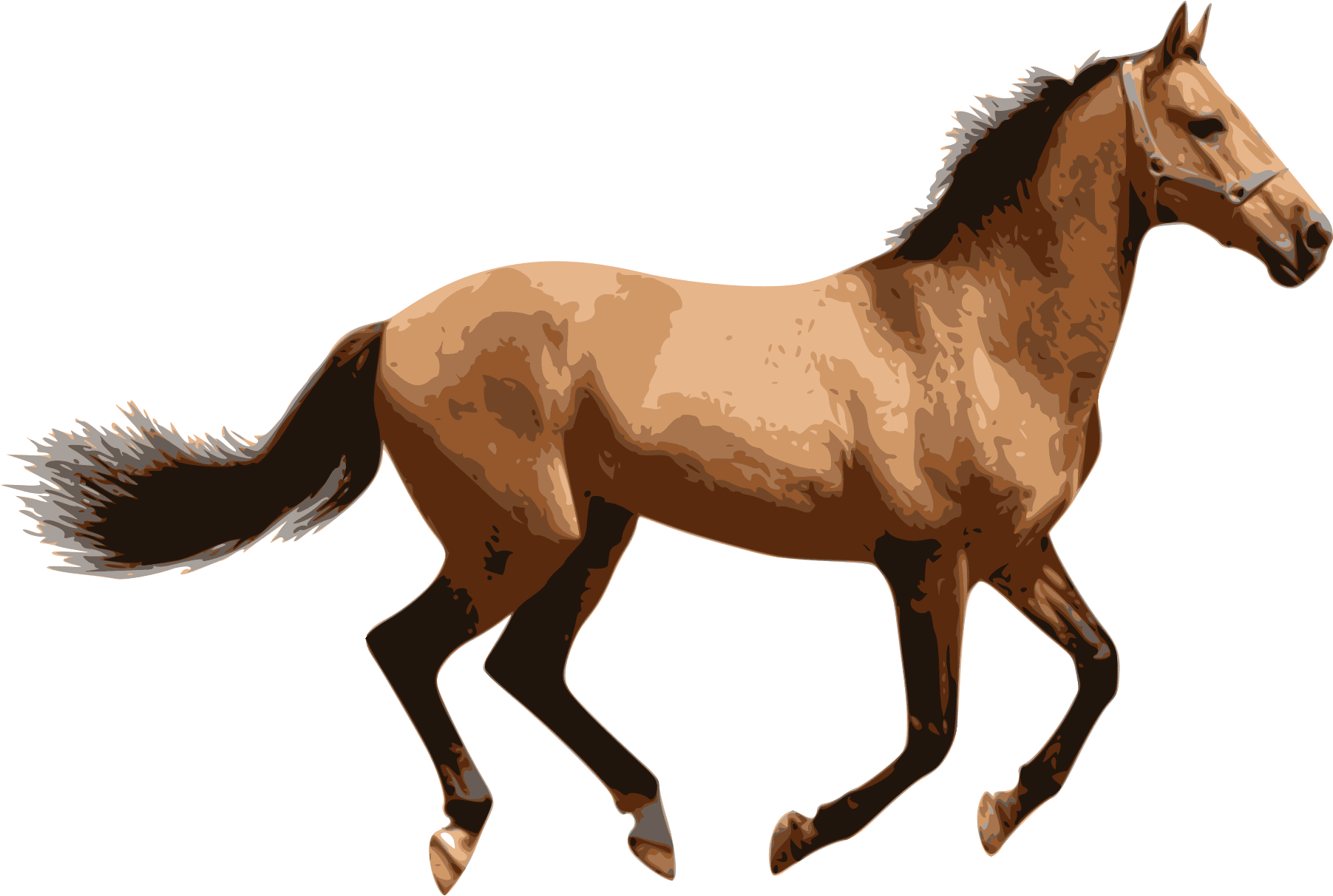 Caballo - Horse Png - Transparent PNG Free Download | PNGio