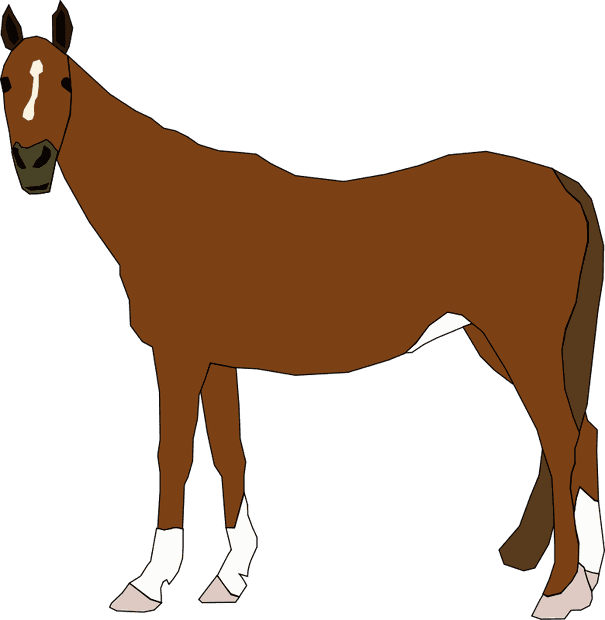 Caballo - Brown Horse Shower Curtain - Transparent PNG Free Download | PNGio