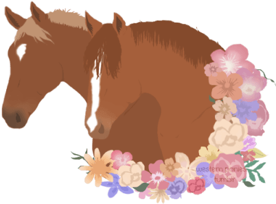 @sdequus - Horse Transparent - Transparent PNG Free Download | PNGio