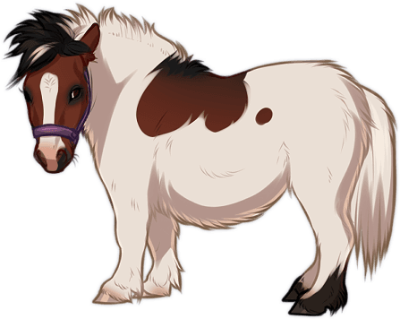 Piebald Bay Miniature Horse By Tokotime - Horse - Transparent PNG Free Download | PNGio