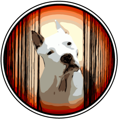 Shadow Red Shōgun - Devon Horse Show - Transparent PNG Free Download | PNGio