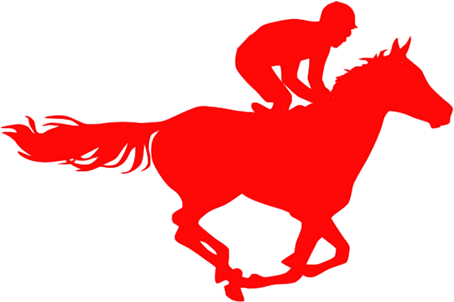 H2h Derby Event For Charity - Horse - Transparent PNG Free Download | PNGio