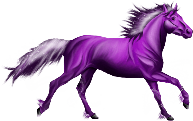 Purple - Purple Horse Drawing - Transparent PNG Free Download | PNGio