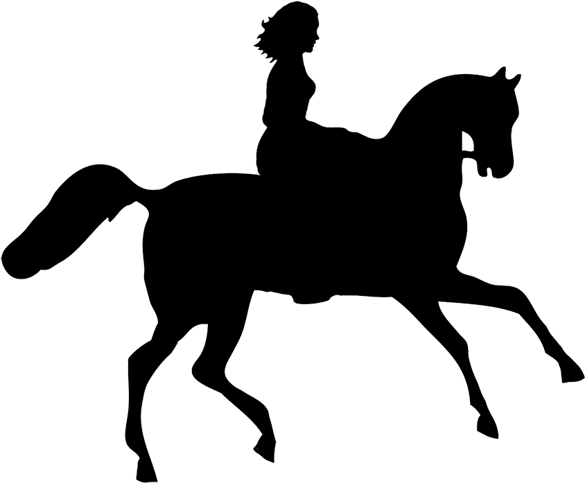 Horse Clip Art Png - Horse Riding Silhouette Png - Transparent PNG Free Download | PNGio