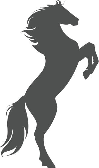 Contact - Rearing Horse Silhouette - Transparent PNG Free Download | PNGio