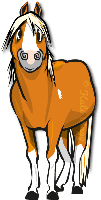 Wir Haben Große Pferde Für Große Reiter, Kleine Pferde - Horse - Transparent PNG Free Download | PNGio