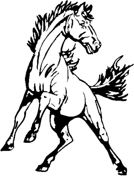 Black And White Mustang Horse - Transparent PNG Free Download | PNGio