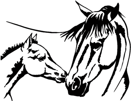 Силуэты Лошадей - Mom Anf Baby Horse Drawing - Transparent PNG Free Download | PNGio