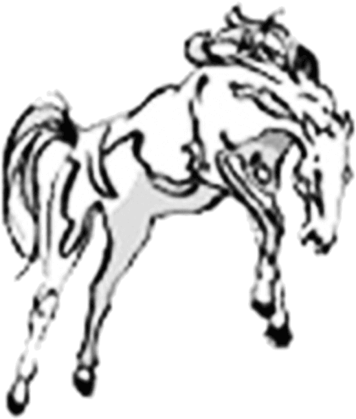 Bridlewood Elementary School - Horse Jumping Coloring Pages - Transparent PNG Free Download | PNGio