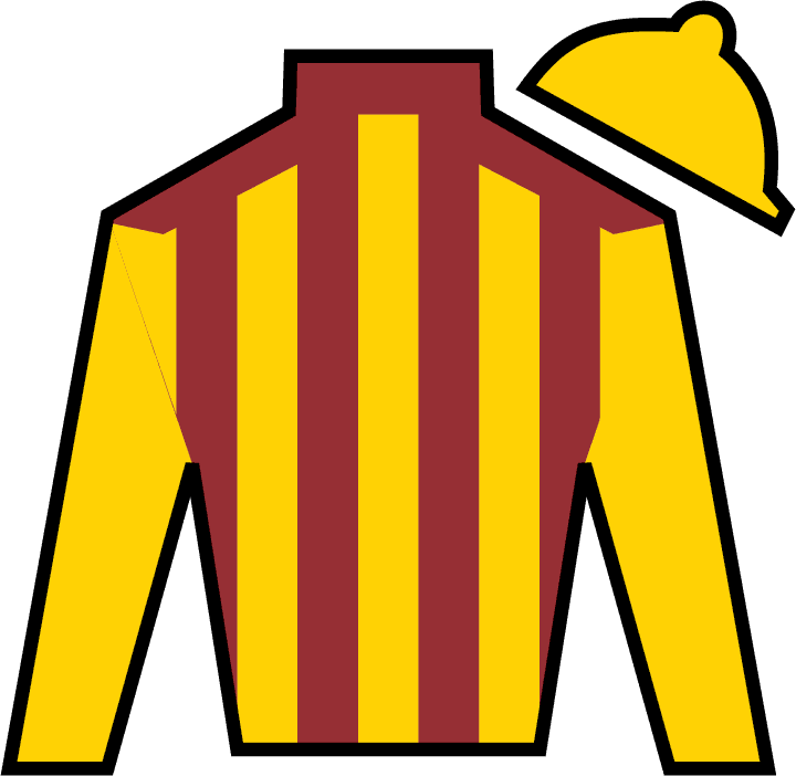 Irish War Cry - Good Magic Horse Silk - Transparent PNG Free Download | PNGio