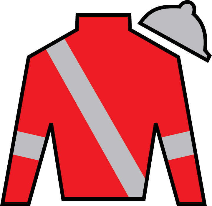 15 - Mccraken - China Horse Club Silks - Transparent PNG Free Download | PNGio