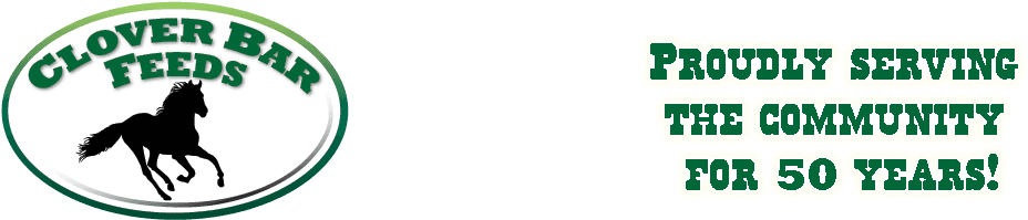 Clover Bar New Header - Car Stickers Horse Galloping Sticker - Transparent PNG Free Download | PNGio