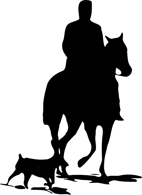 People Men And Dogs - Horse Silhouette - Transparent PNG Free Download | PNGio
