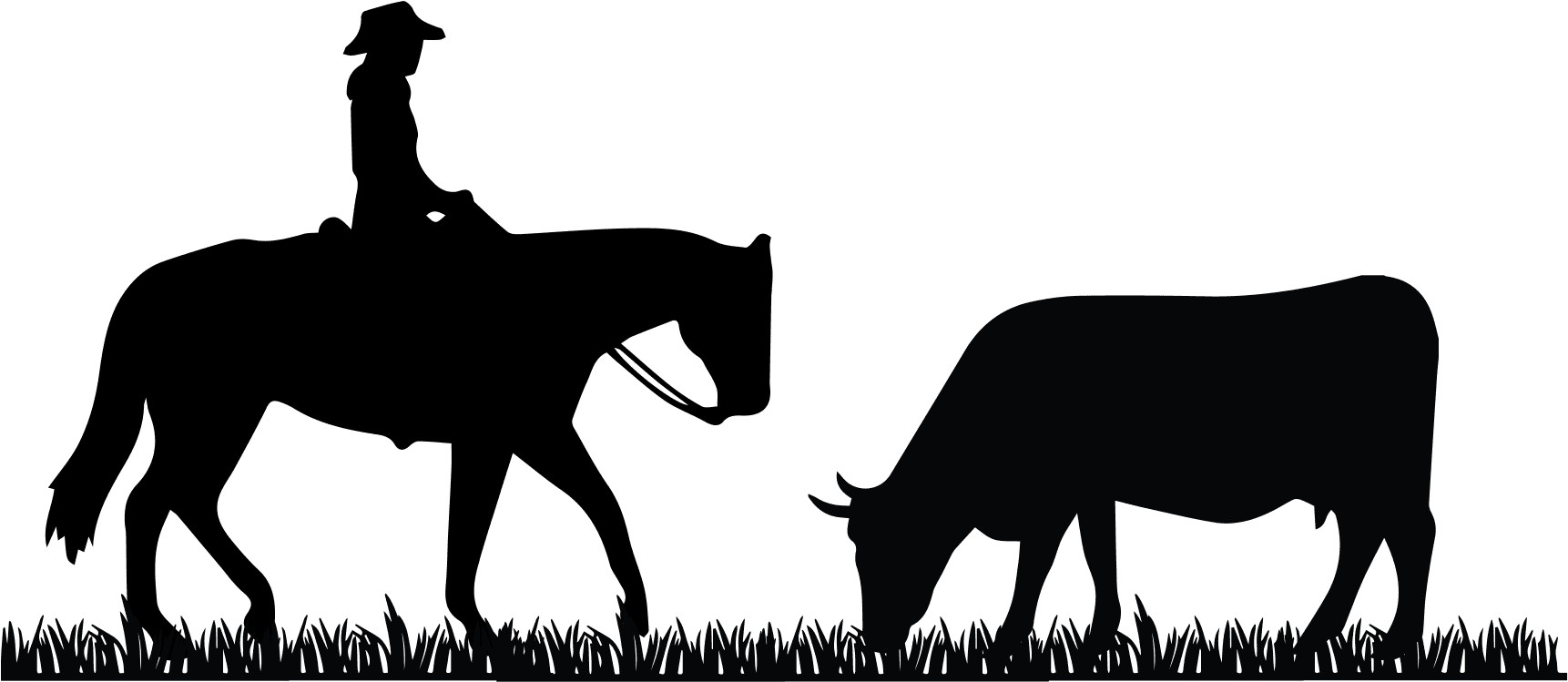 Beef Steer Clip Art Download - Cowboy On Horse Silhouette - Transparent PNG Free Download | PNGio
