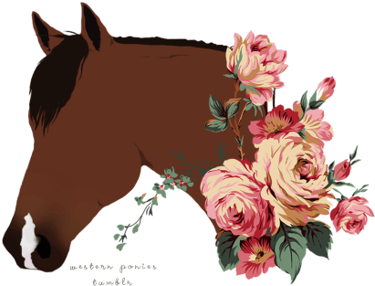 @think Like A Thoroughbred - Png Horse - Transparent PNG Free Download | PNGio