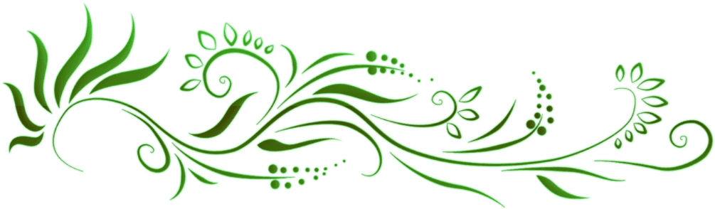 Wild Horses: Historical Erotica: (adults Only Erotica) - Transparent PNG Free Download | PNGio