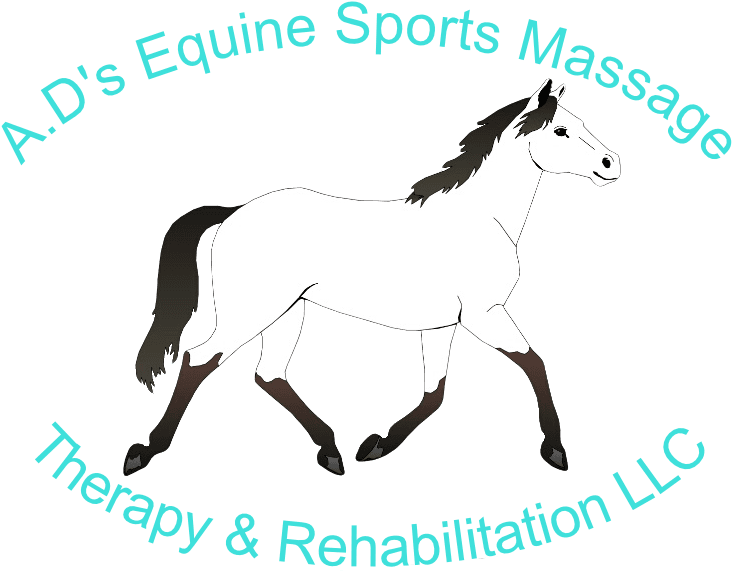 Ad's Equine Sports Massage, Therapy And Rehabilitation, - Mustang Horse Coloring Pages - Transparent PNG Free Download | PNGio