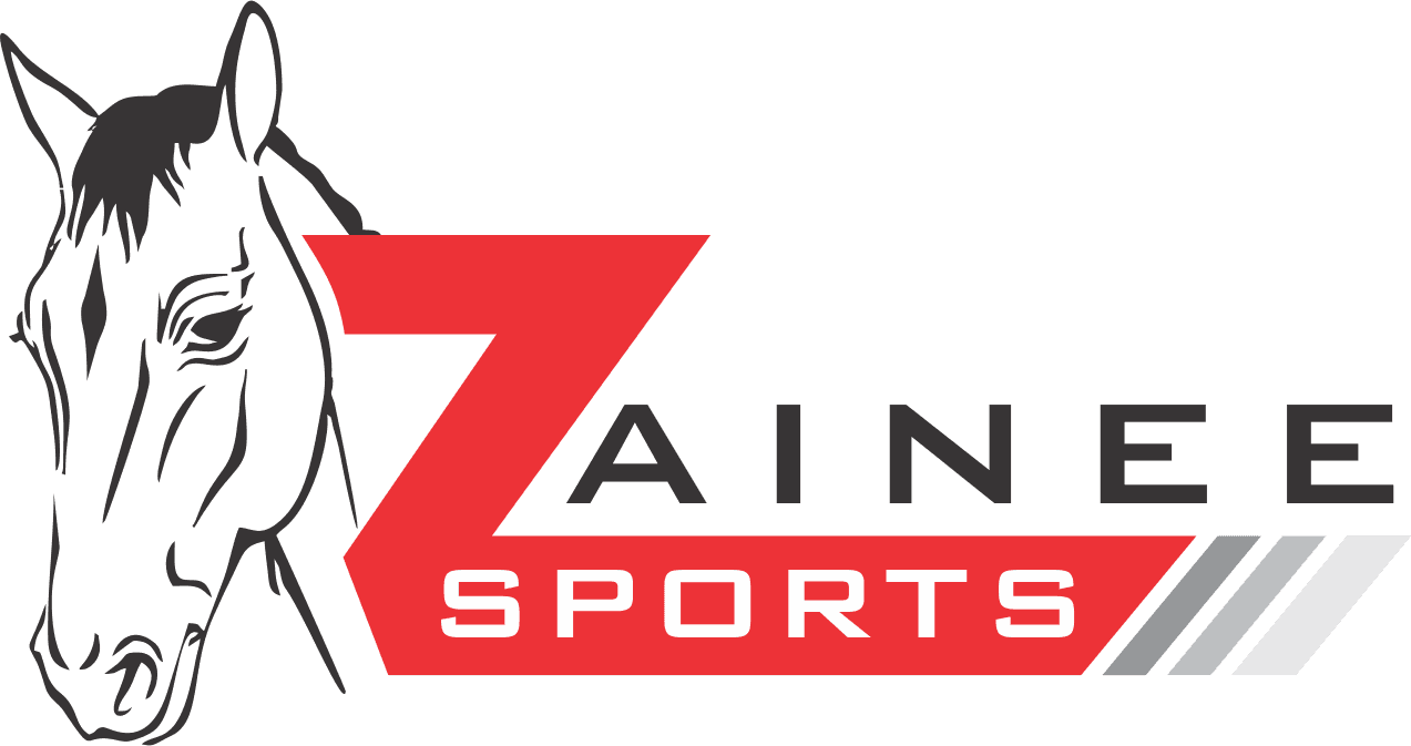 Zainee Sports - Horse - Transparent PNG Free Download | PNGio